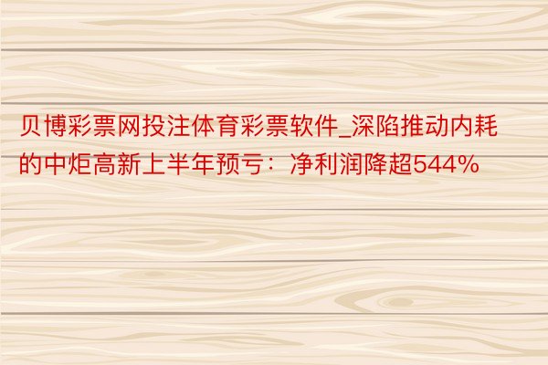 贝博彩票网投注体育彩票软件_深陷推动内耗的中炬高新上半年预亏：净利润降超544%
