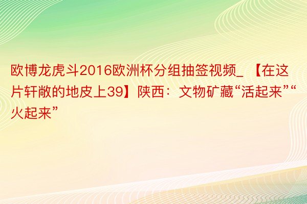 欧博龙虎斗2016欧洲杯分组抽签视频_ 【在这片轩敞的地皮上39】陕西：文物矿藏“活起来”“火起来”