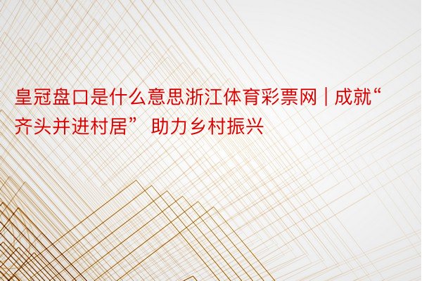 皇冠盘口是什么意思浙江体育彩票网 | 成就“齐头并进村居”  助力乡村振兴